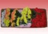 Schießblumen Heckenrose farbig sortiert 300 Stück